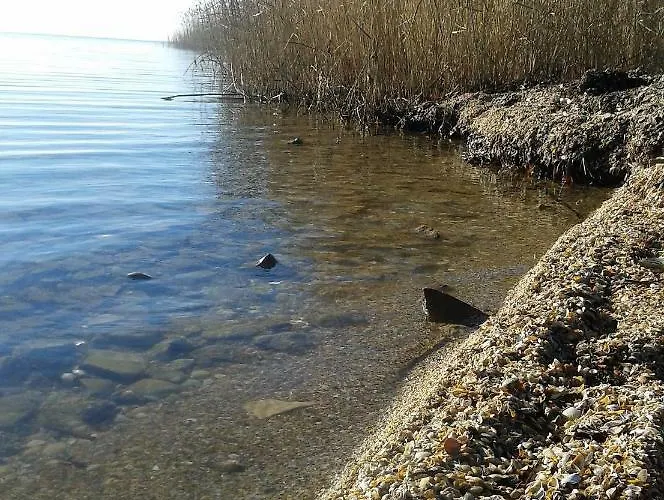 Casa Batranului Pescar - Old Fisherman's House Gasthof