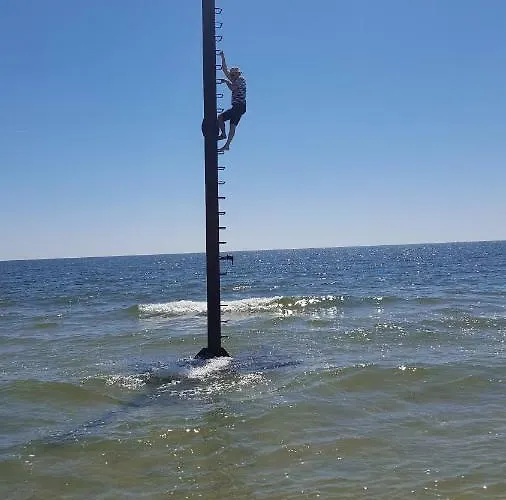 Casa Batranului Pescar - Old Fisherman's House Gasthof