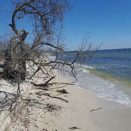 Maison d'hôtes Casa Batranului Pescar - Old Fisherman's House 3*